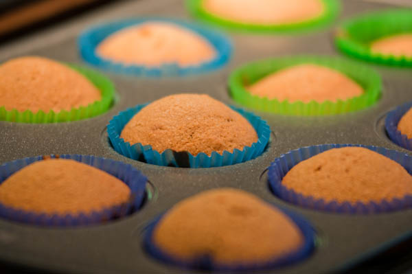 Simply Vegan Vanilla and Agave Cupcakes