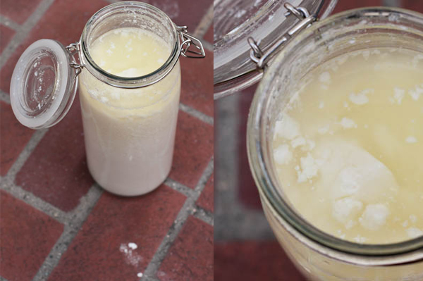 Kefir-making: 24 hours later. Ready for the finishing touches.